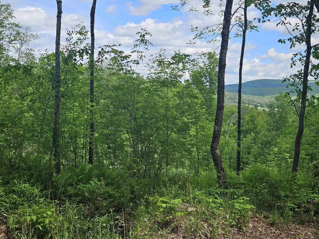 324 Crane Hill Road Sugar Hill NH 03486