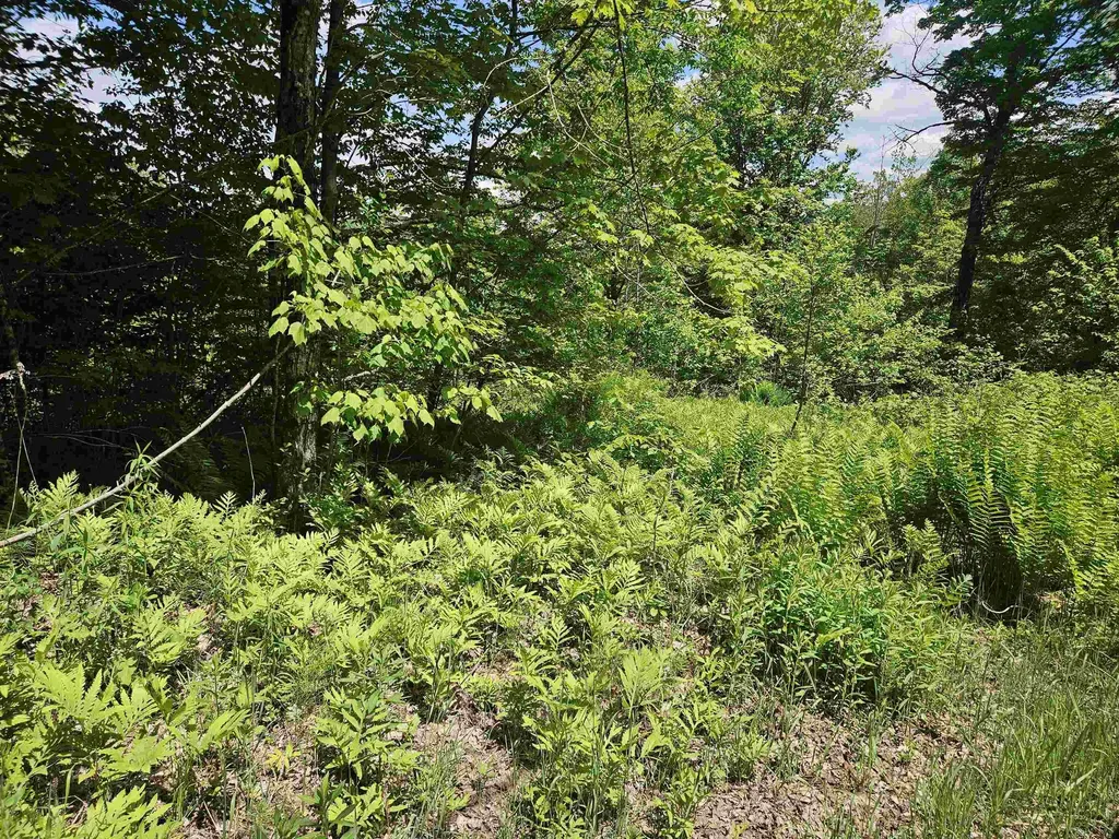 324 Crane Hill Road Sugar Hill NH 03486