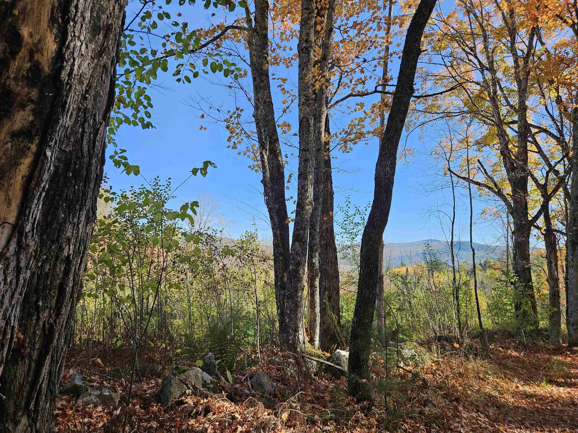 324 Crane Hill Road Sugar Hill NH 03486