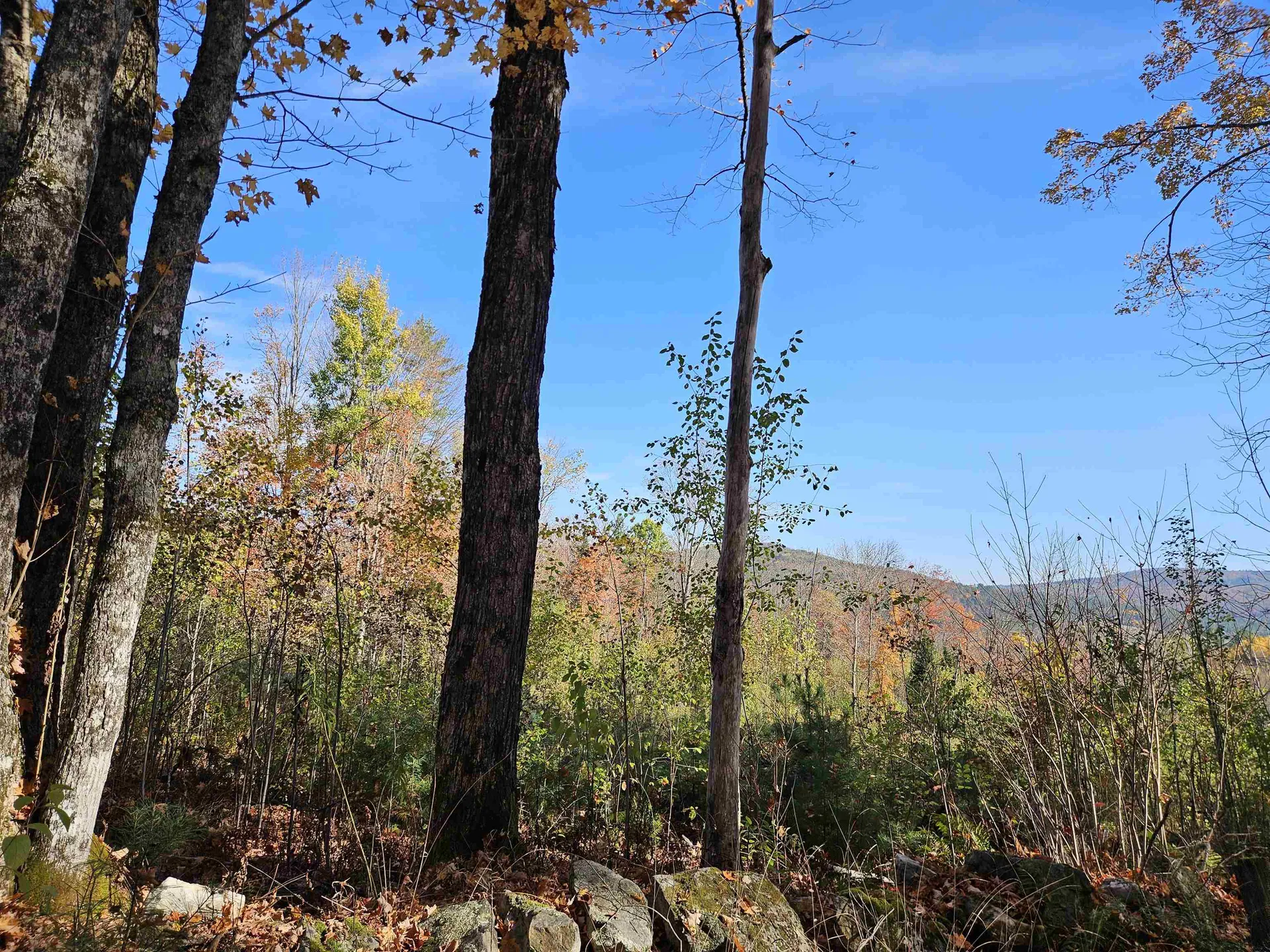 324 Crane Hill Road Sugar Hill NH 03486