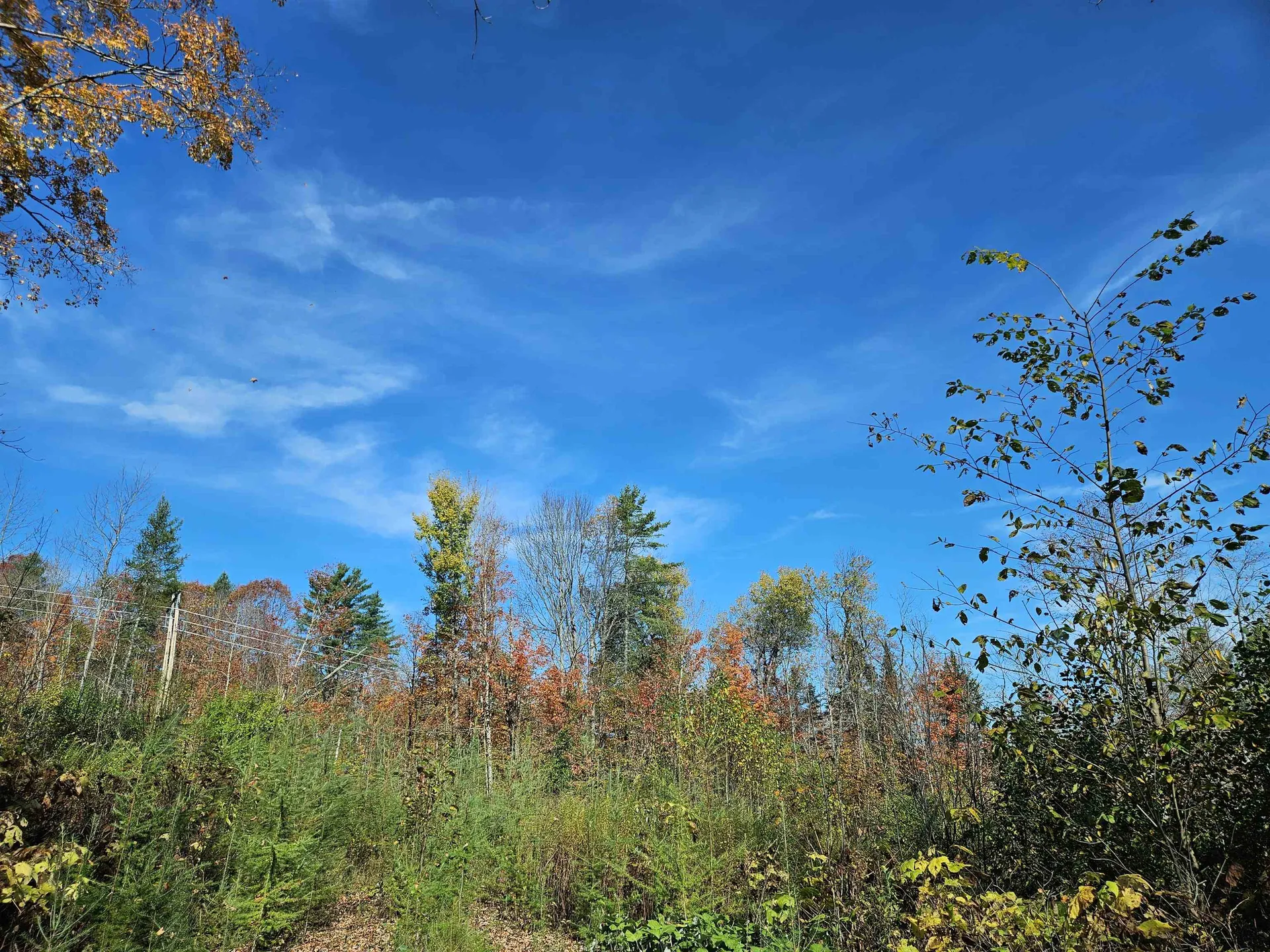 324 Crane Hill Road Sugar Hill NH 03486