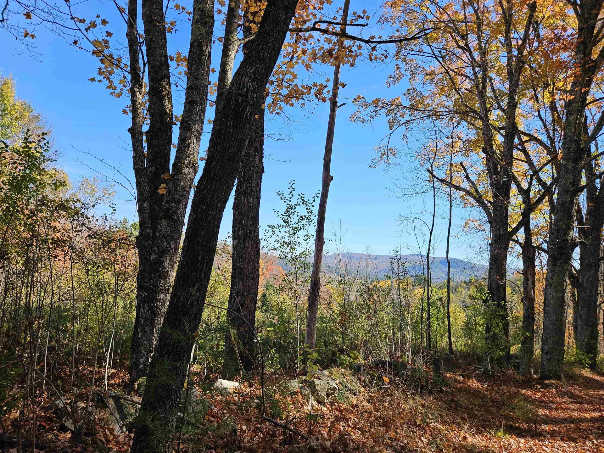 324 Crane Hill Road Sugar Hill NH 03486