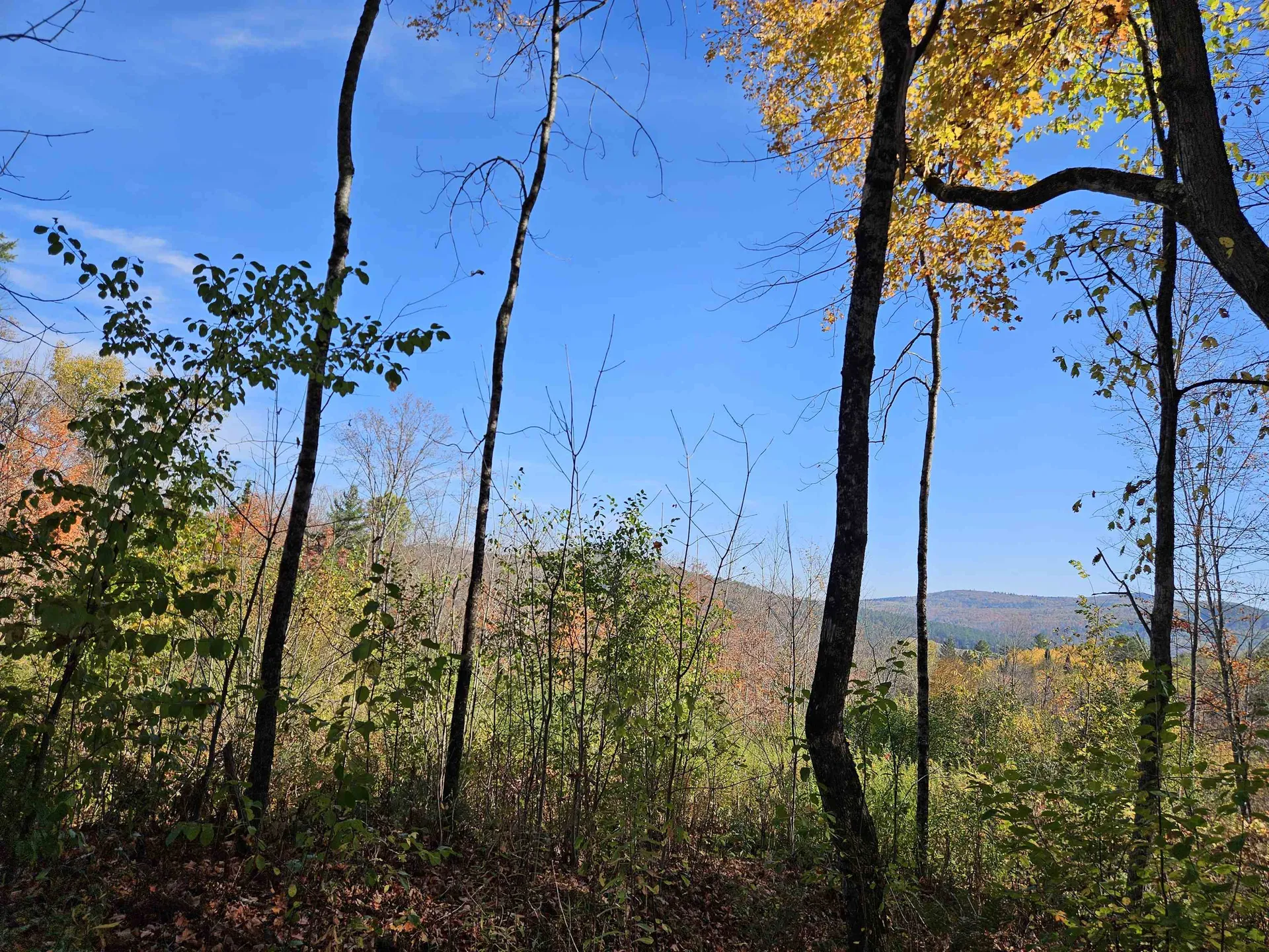 324 Crane Hill Road Sugar Hill NH 03486