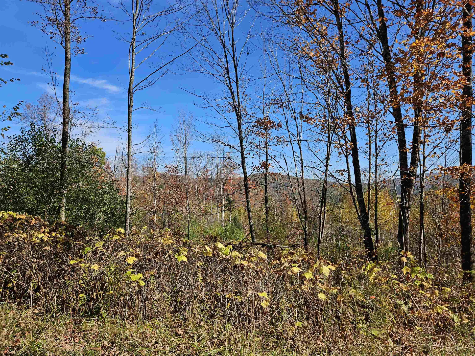 324 Crane Hill Road Sugar Hill NH 03486