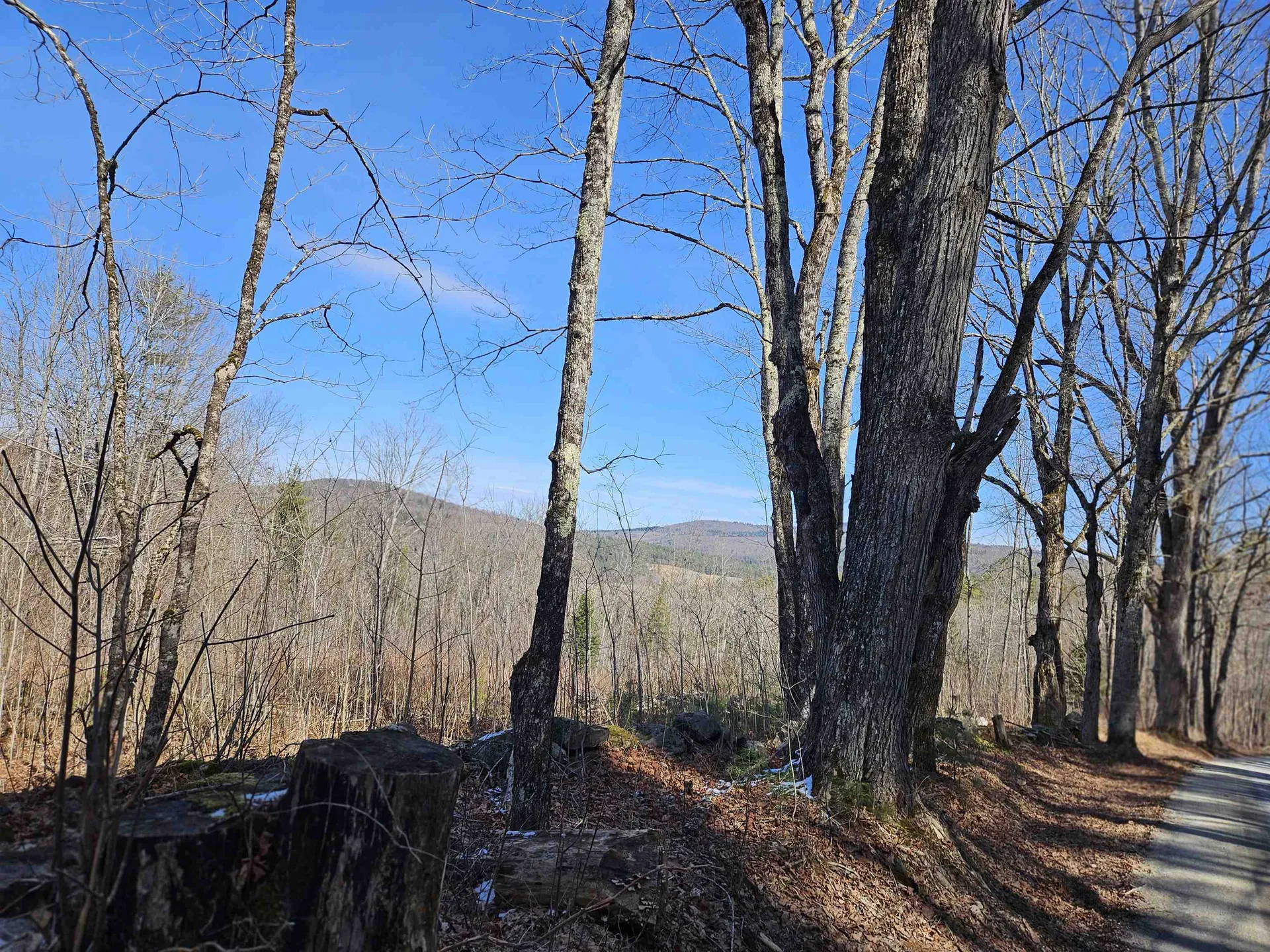 324 Crane Hill Road Sugar Hill NH 03486