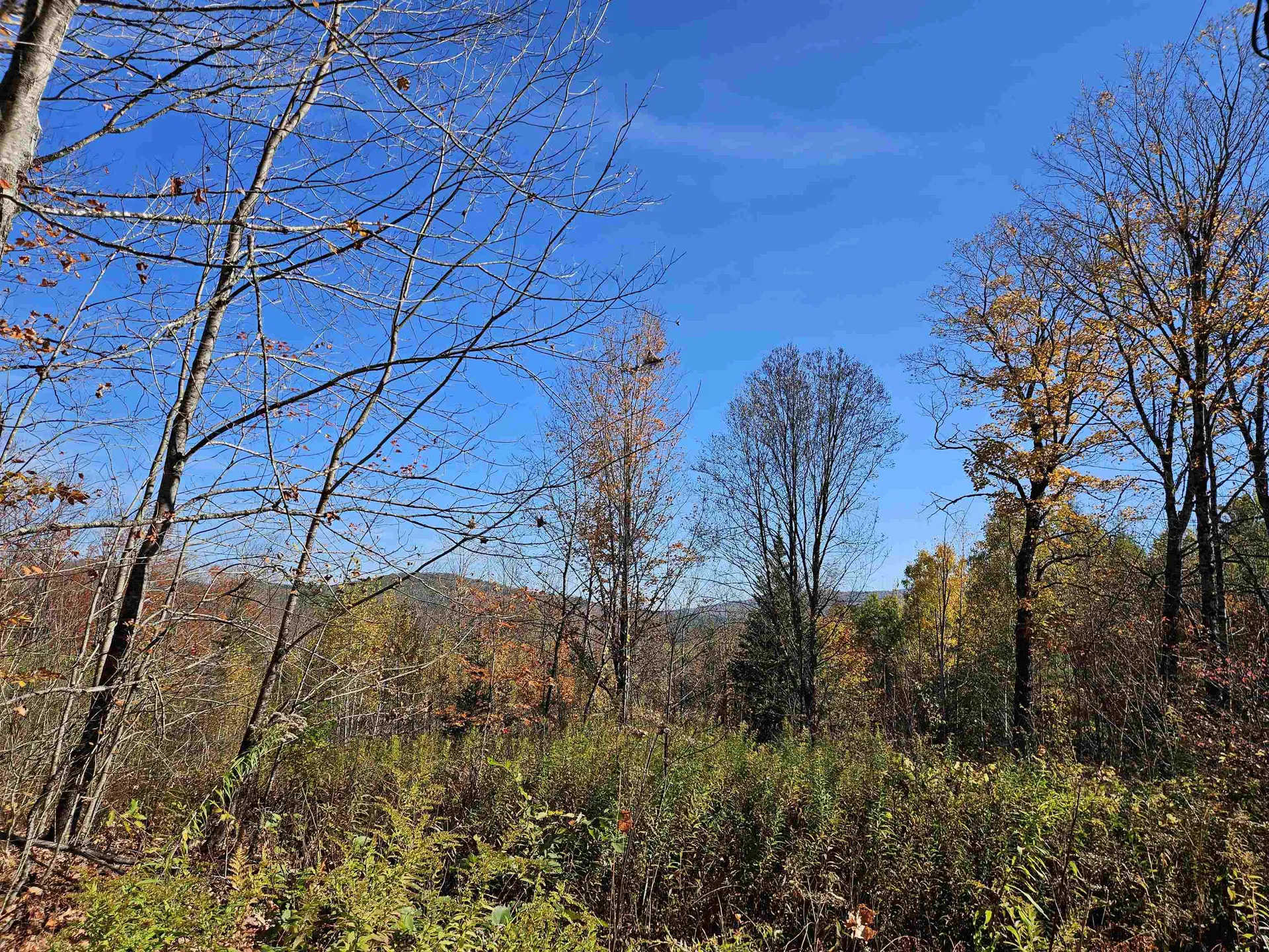 324 Crane Hill Road Sugar Hill NH 03486