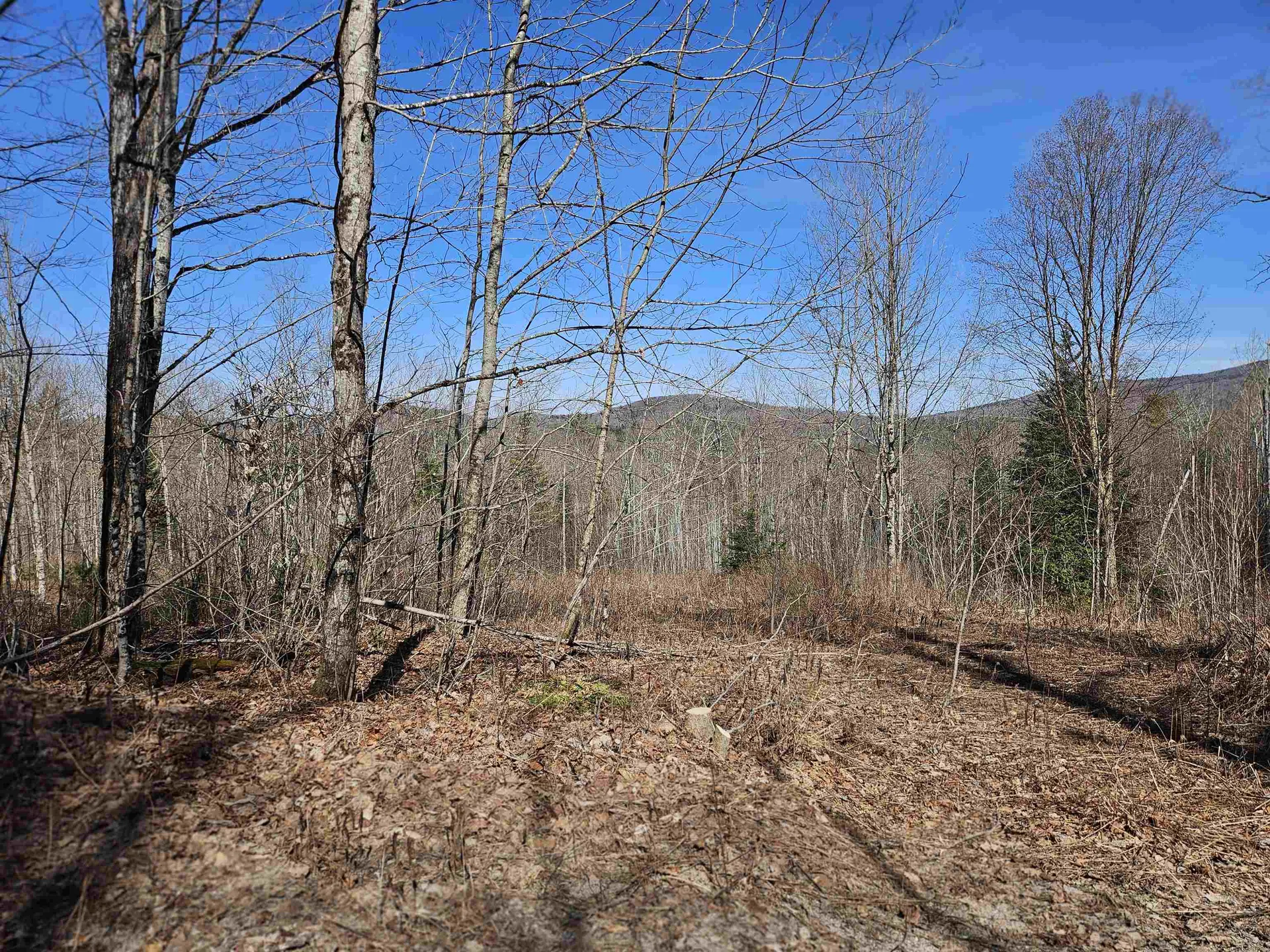 324 Crane Hill Road Sugar Hill NH 03486