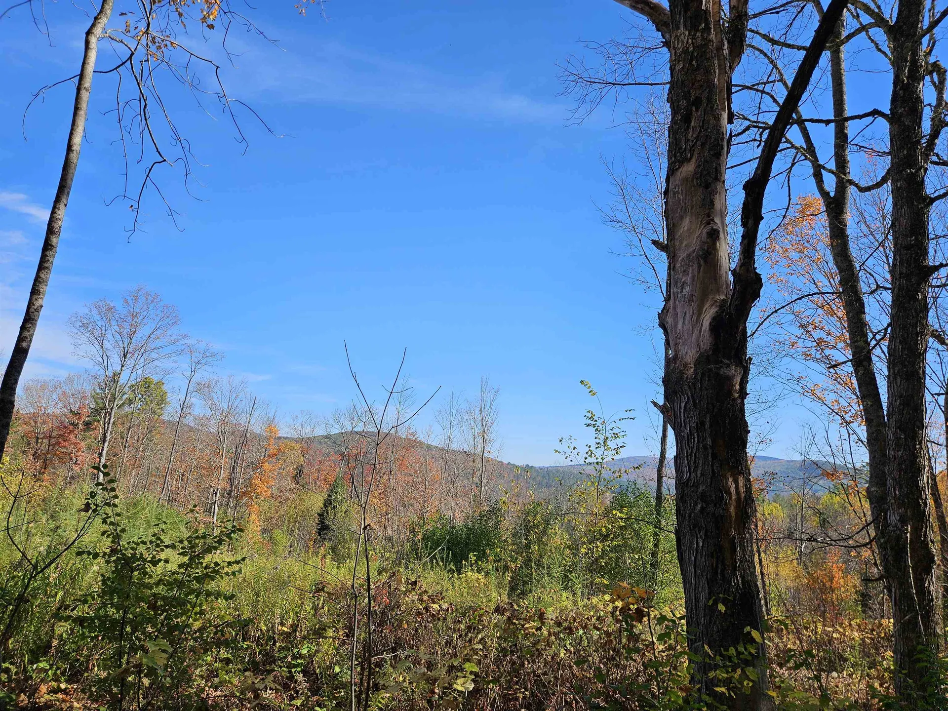 324 Crane Hill Road Sugar Hill NH 03486