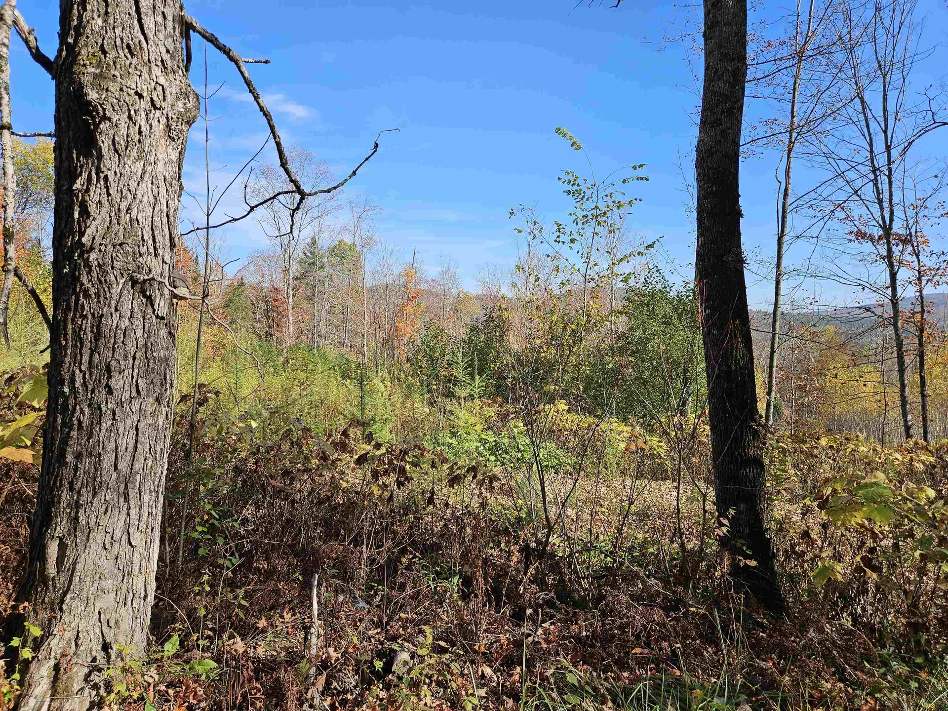 324 Crane Hill Road Sugar Hill NH 03486