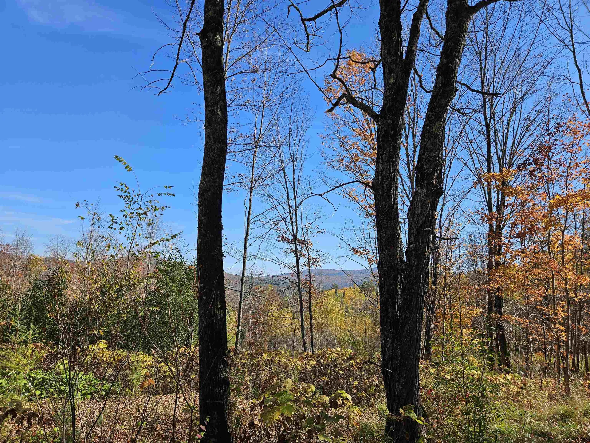 324 Crane Hill Road Sugar Hill NH 03486