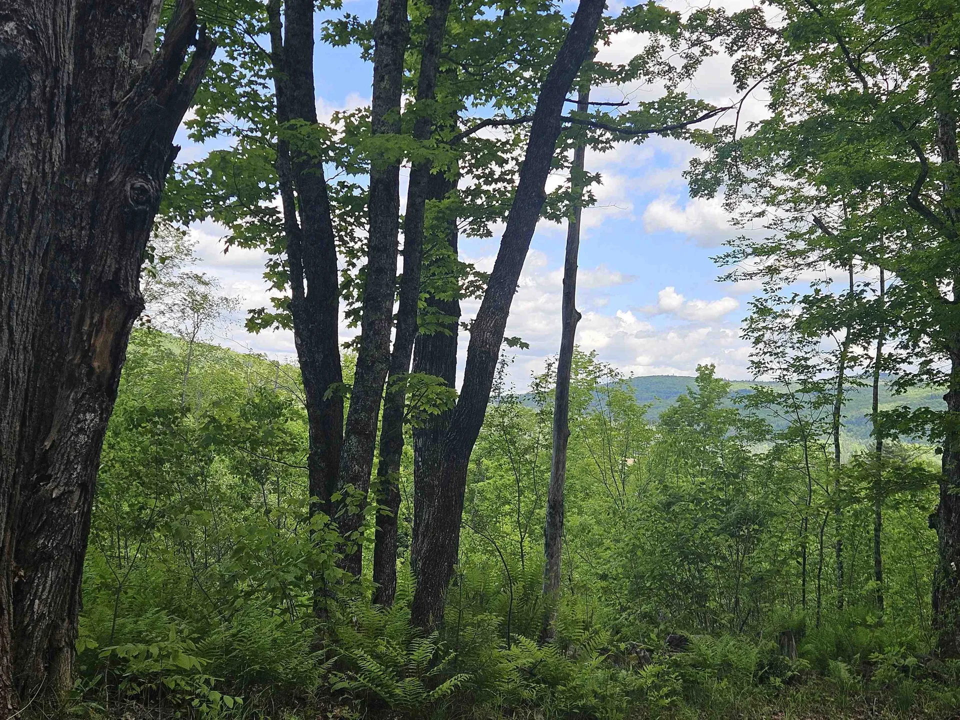 324 Crane Hill Road Sugar Hill NH 03486