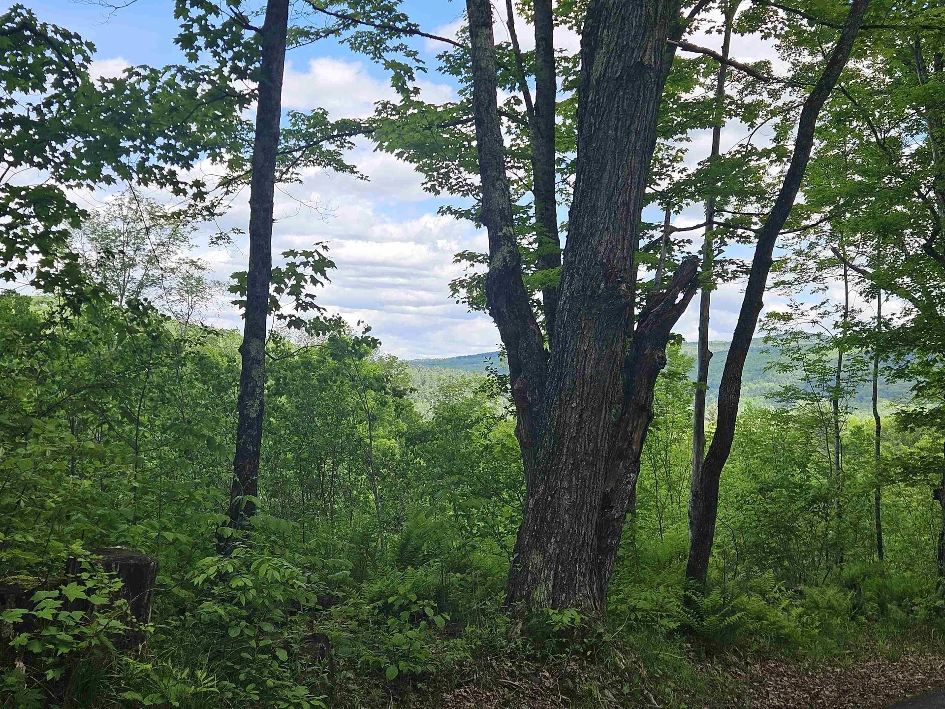 324 Crane Hill Road Sugar Hill NH 03486