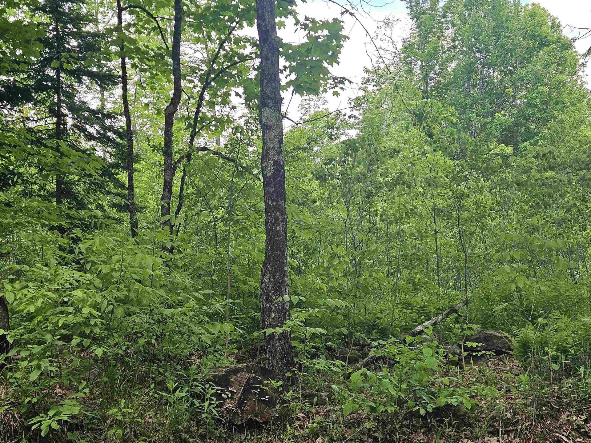 324 Crane Hill Road Sugar Hill NH 03486