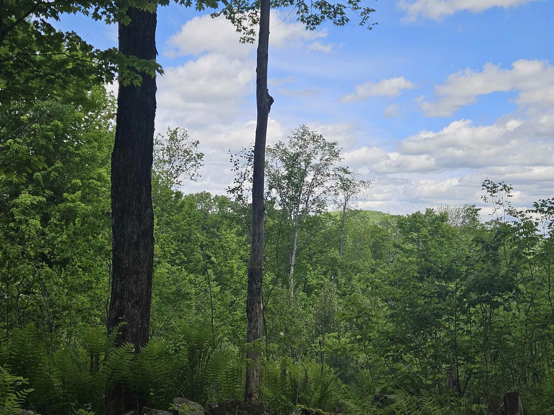 324 Crane Hill Road Sugar Hill NH 03486