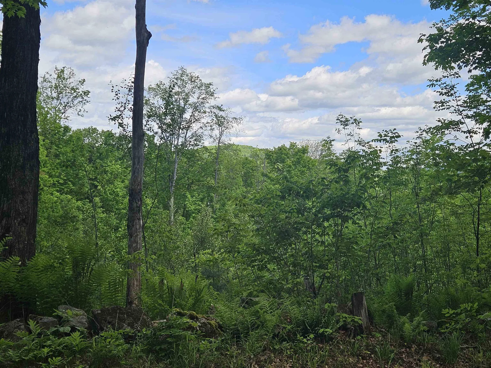 324 Crane Hill Road Sugar Hill NH 03486