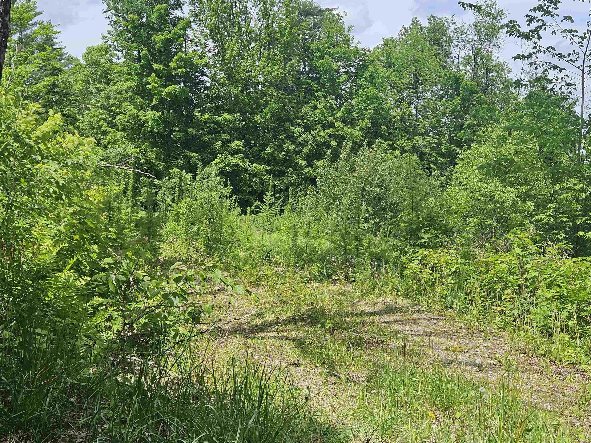 324 Crane Hill Road Sugar Hill NH 03486