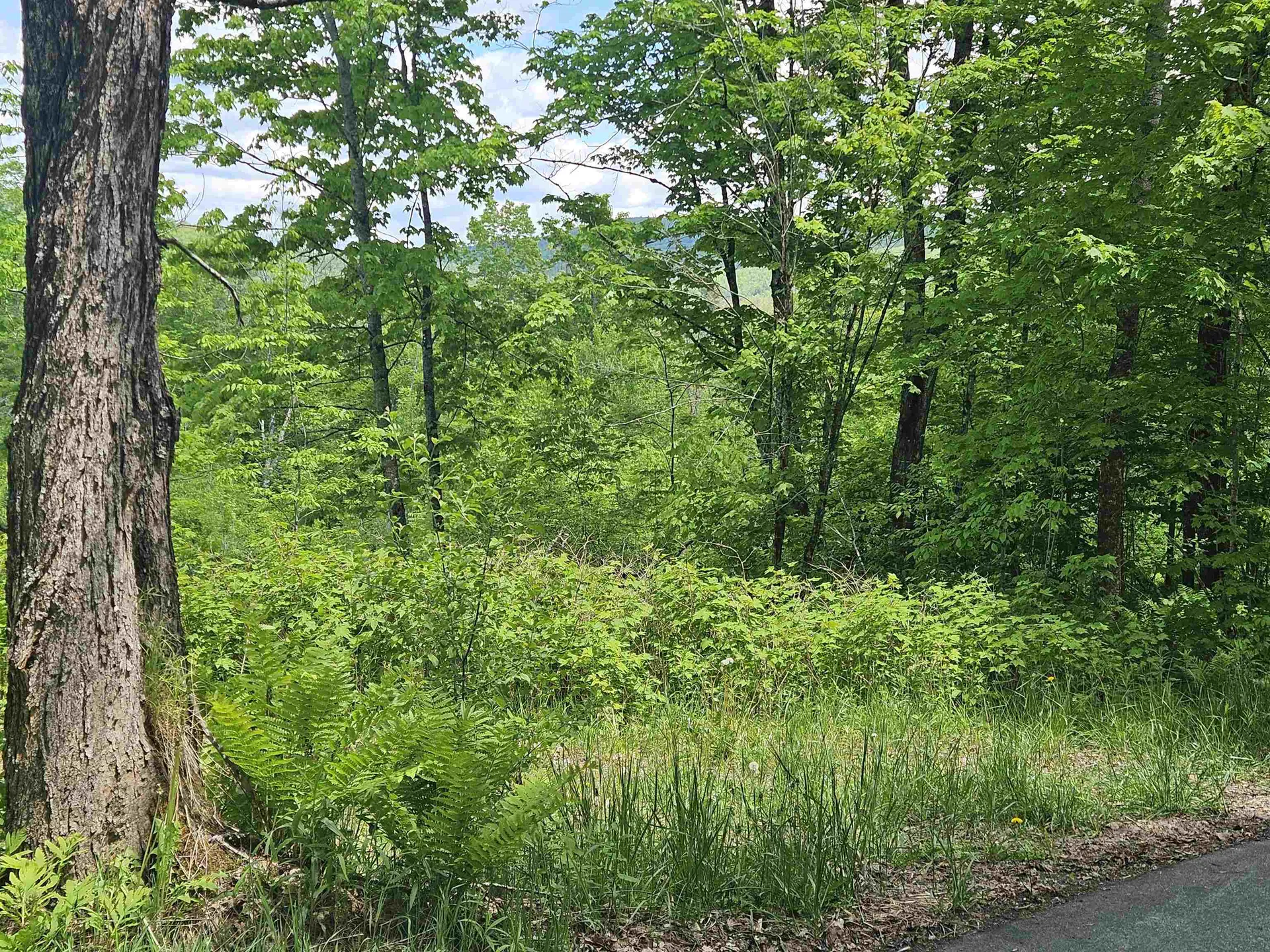 324 Crane Hill Road Sugar Hill NH 03486