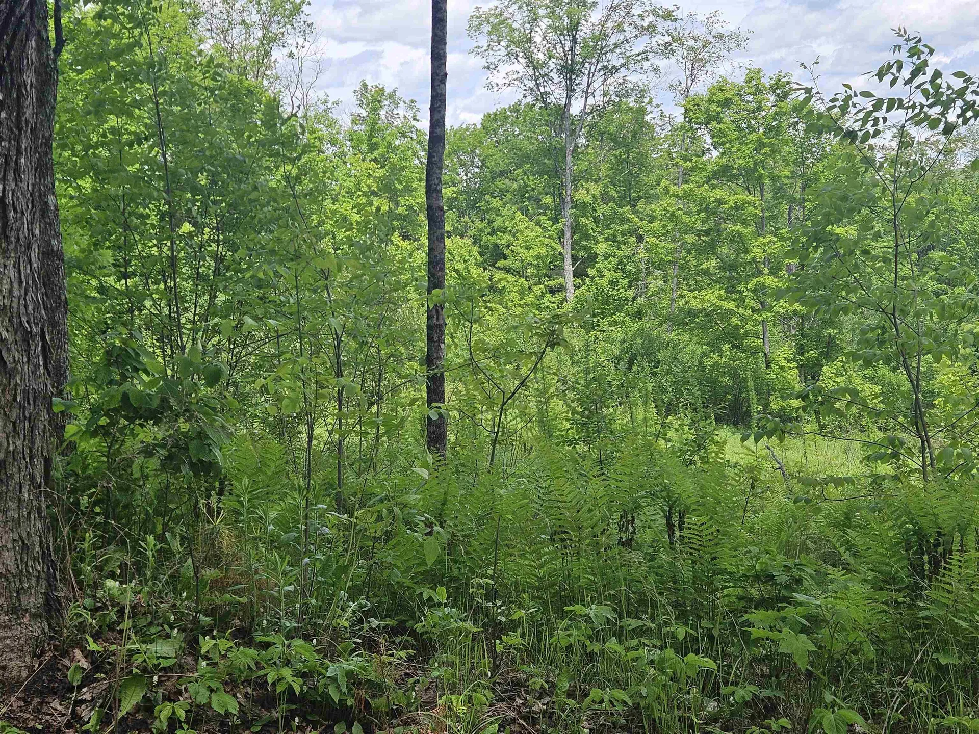 324 Crane Hill Road Sugar Hill NH 03486