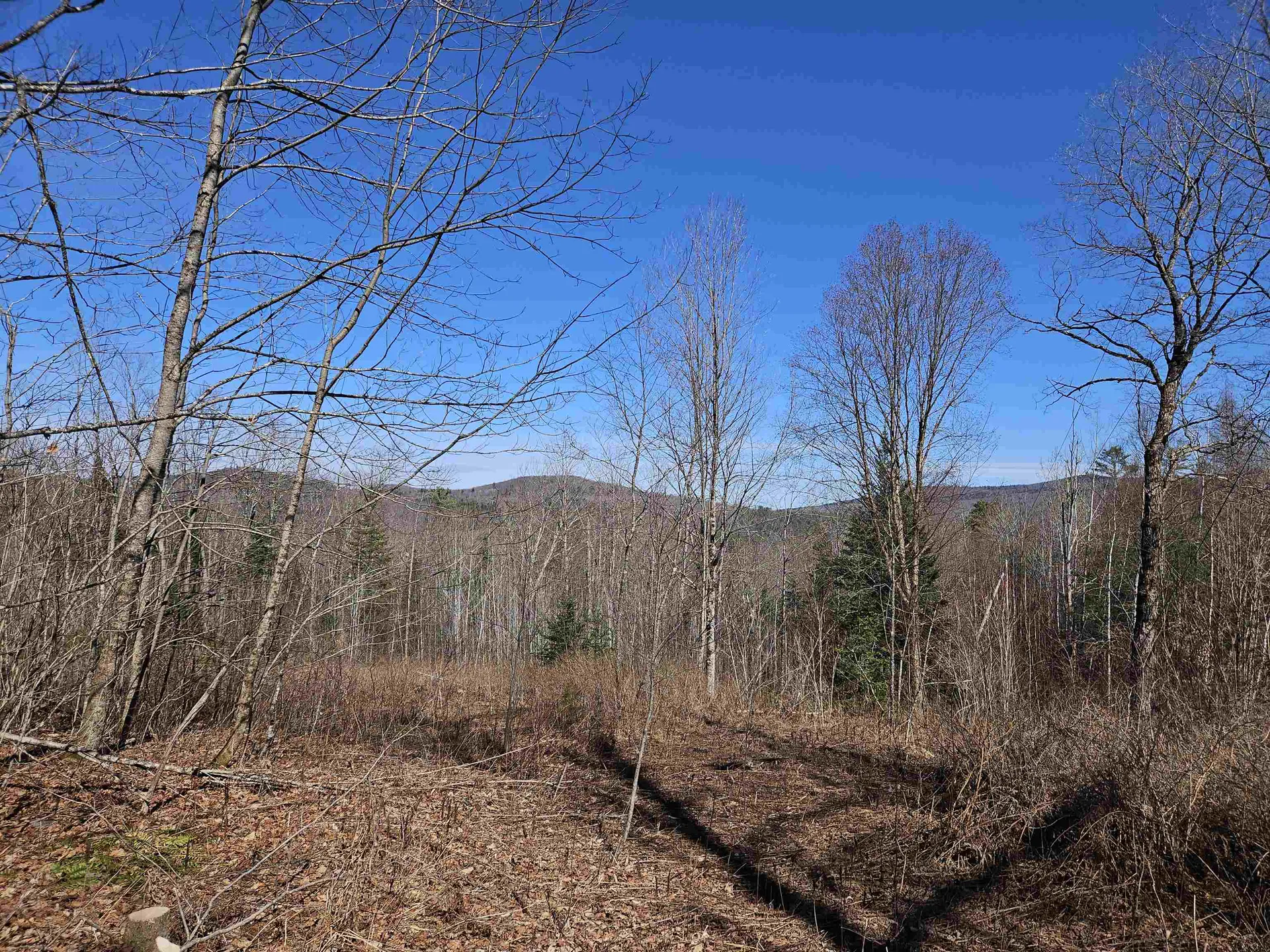 324 Crane Hill Road Sugar Hill NH 03486