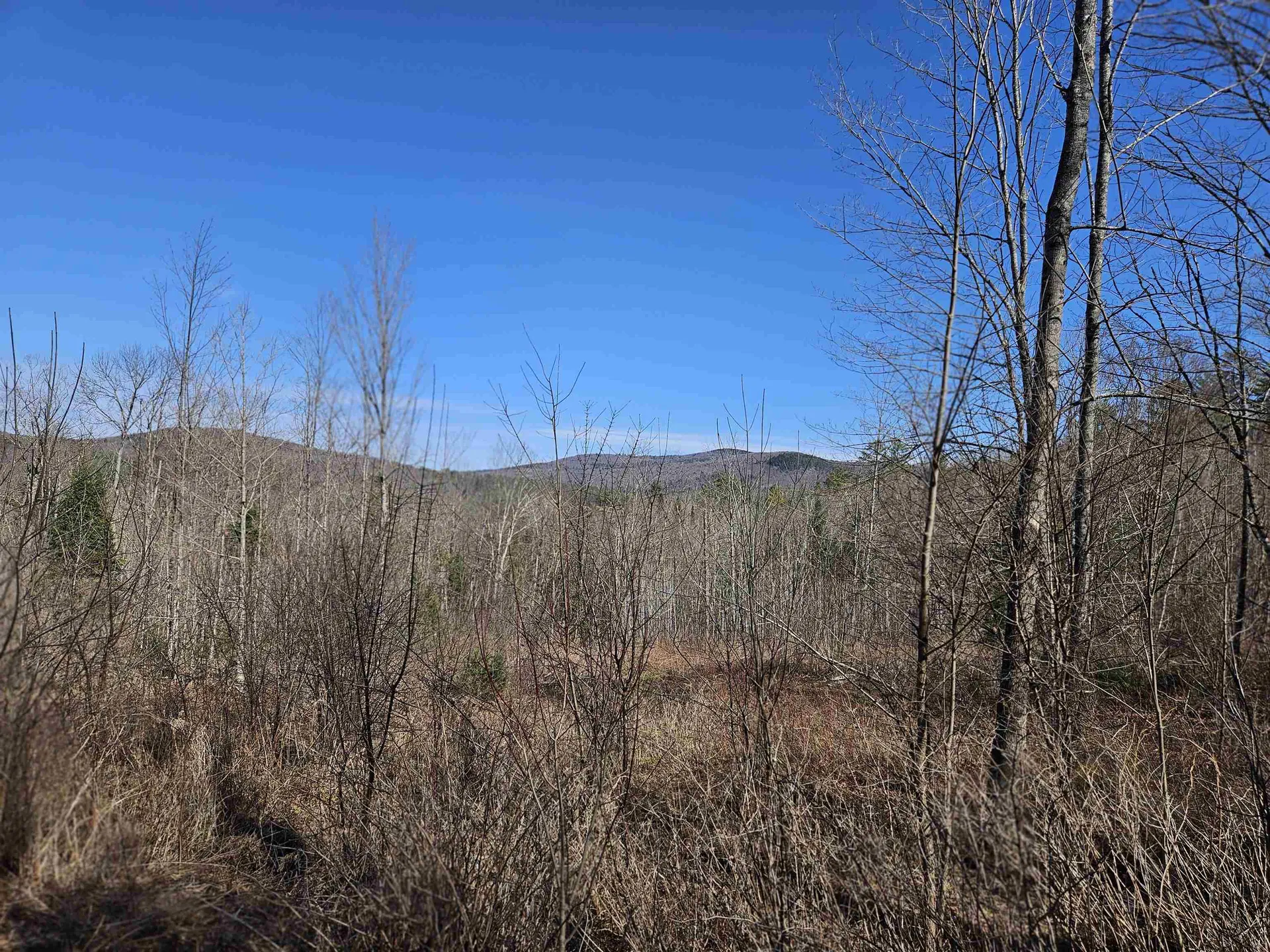 324 Crane Hill Road Sugar Hill NH 03486