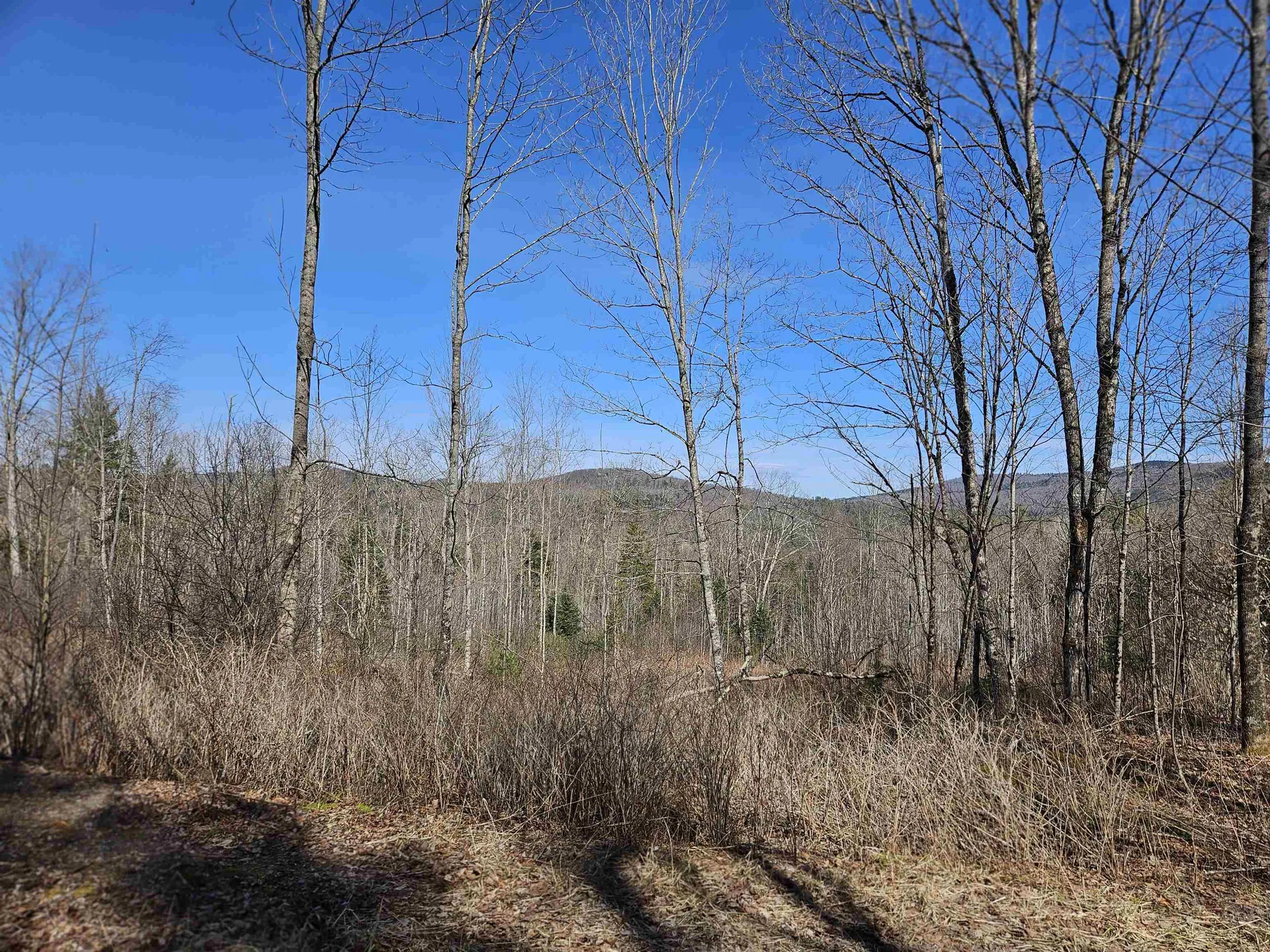 324 Crane Hill Road Sugar Hill NH 03486