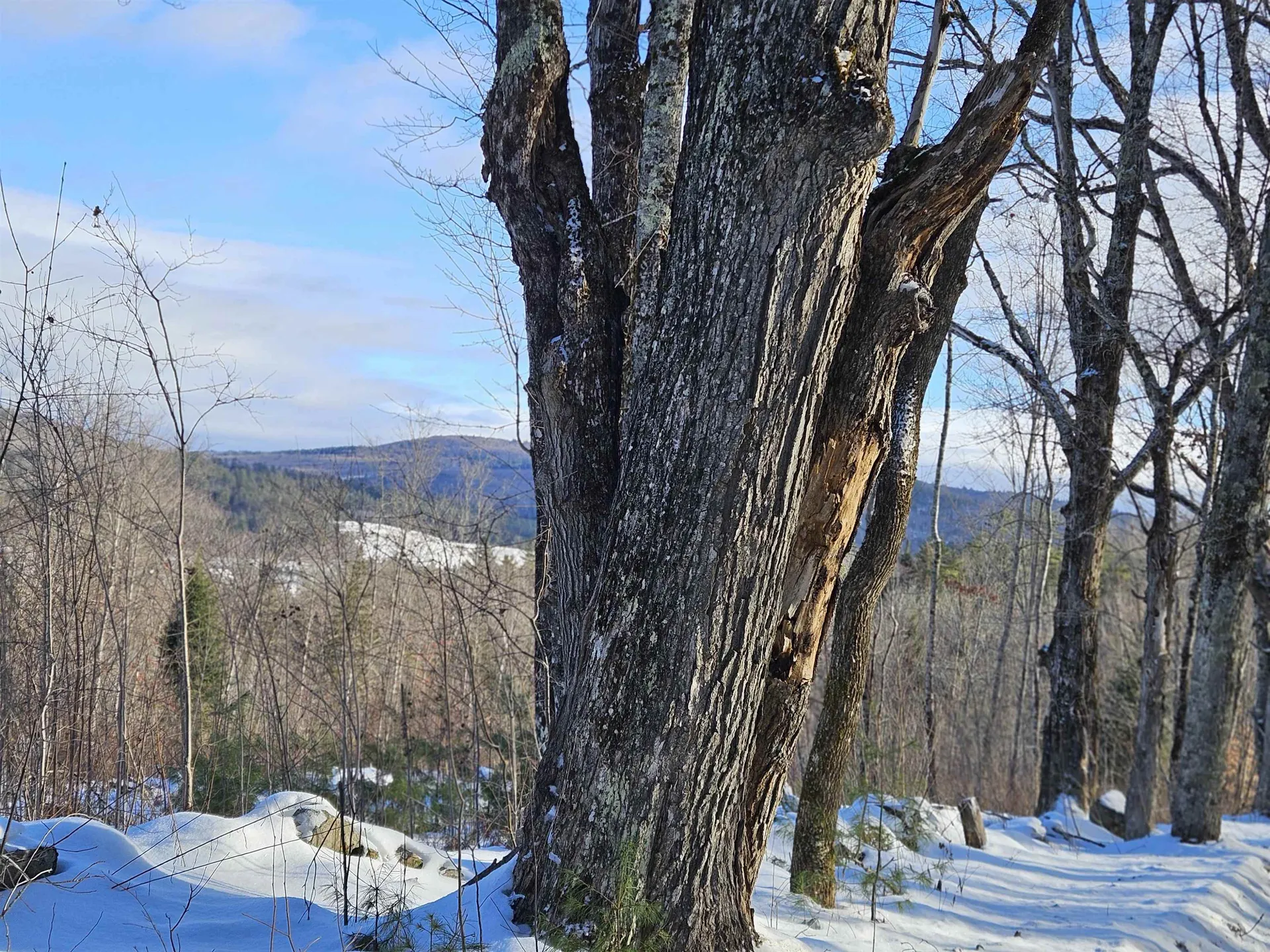 324 Crane Hill Road Sugar Hill NH 03486