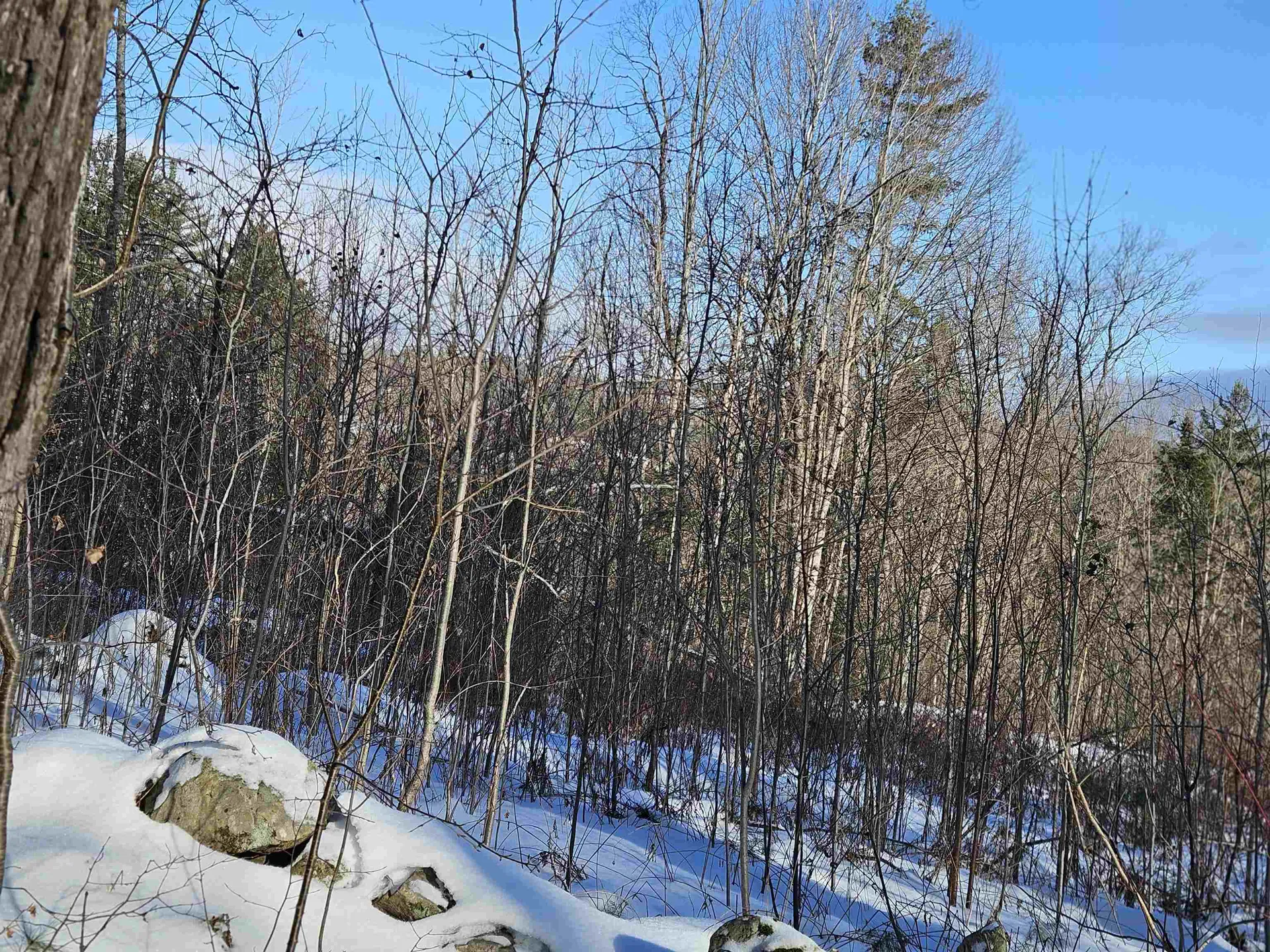 324 Crane Hill Road Sugar Hill NH 03486