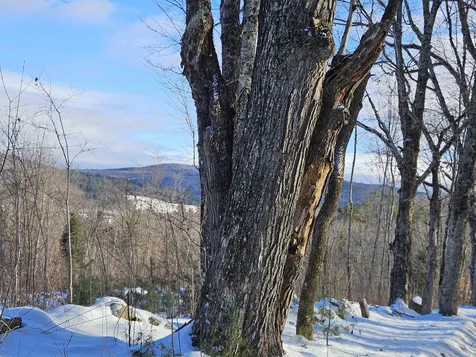 324 Crane Hill Road Sugar Hill NH 03486