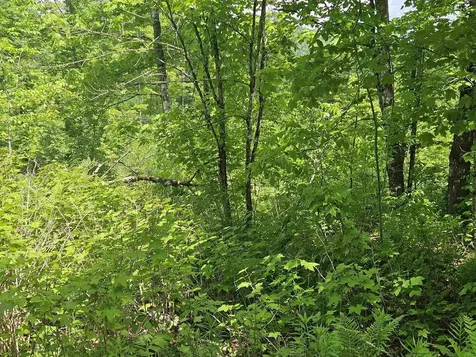 324 Crane Hill Road Sugar Hill NH 03486