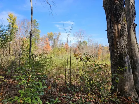 324 Crane Hill Road Sugar Hill NH 03486