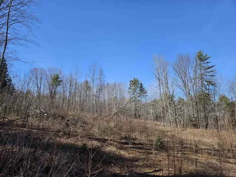 324 Crane Hill Road Sugar Hill NH 03486