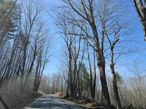 324 Crane Hill Road Sugar Hill NH 03486