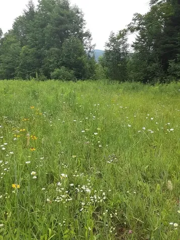 324 Crane Hill Road Sugar Hill NH 03486