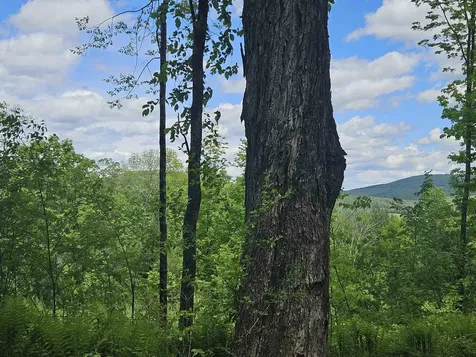 324 Crane Hill Road Sugar Hill NH 03486