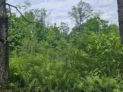 324 Crane Hill Road Sugar Hill NH 03486