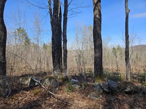 324 Crane Hill Road Sugar Hill NH 03486