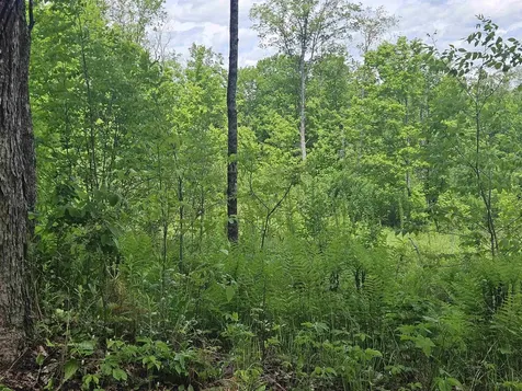 324 Crane Hill Road Sugar Hill NH 03486