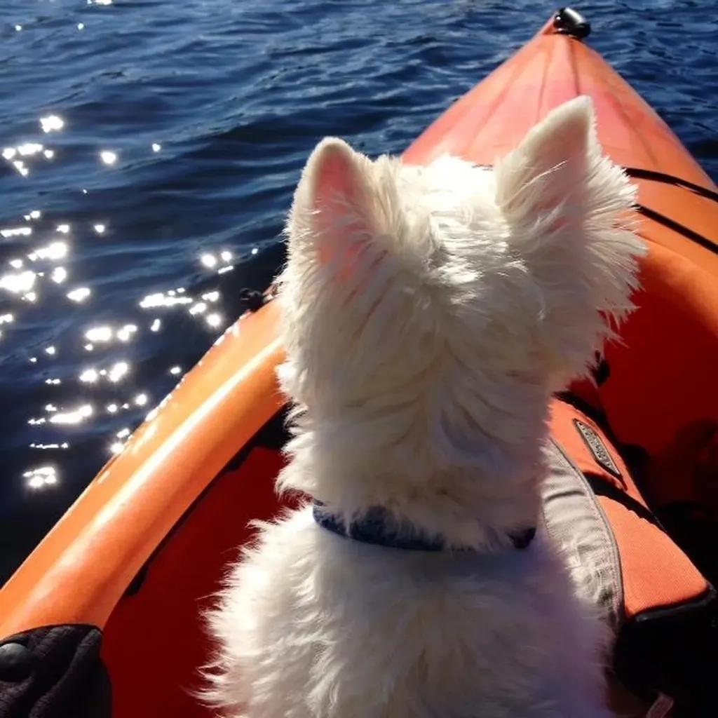 27 Landing Road Enfield NH 03748