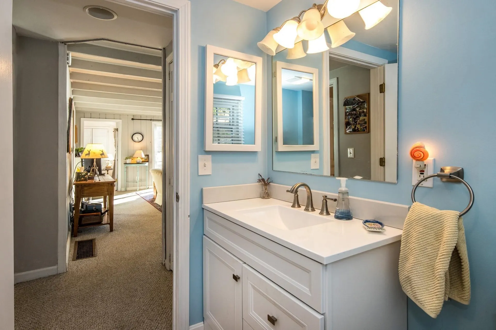 786 Indian Point Castleton VT 05732