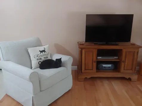 423 Salmon Falls Road Rochester NH 03868