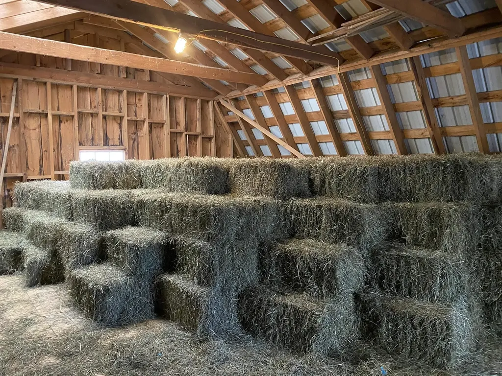 1502 Popple Dungeon Road Chester VT 05143