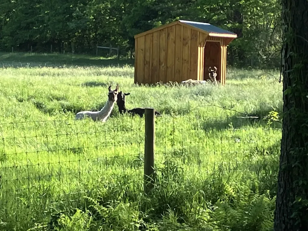 1502 Popple Dungeon Road Chester VT 05143