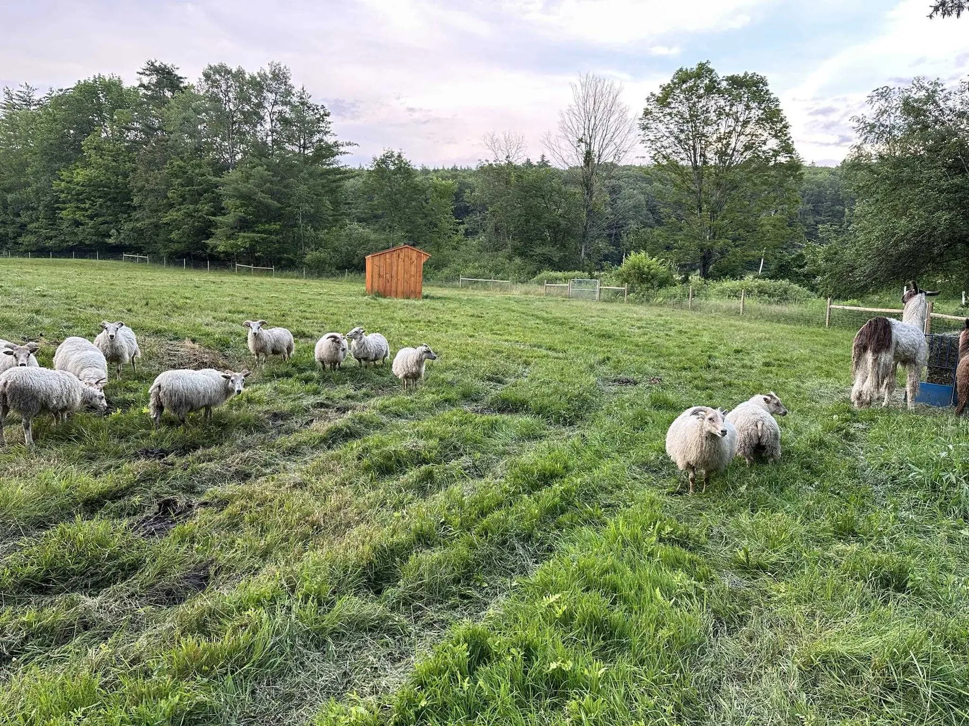 1502 Popple Dungeon Road Chester VT 05143