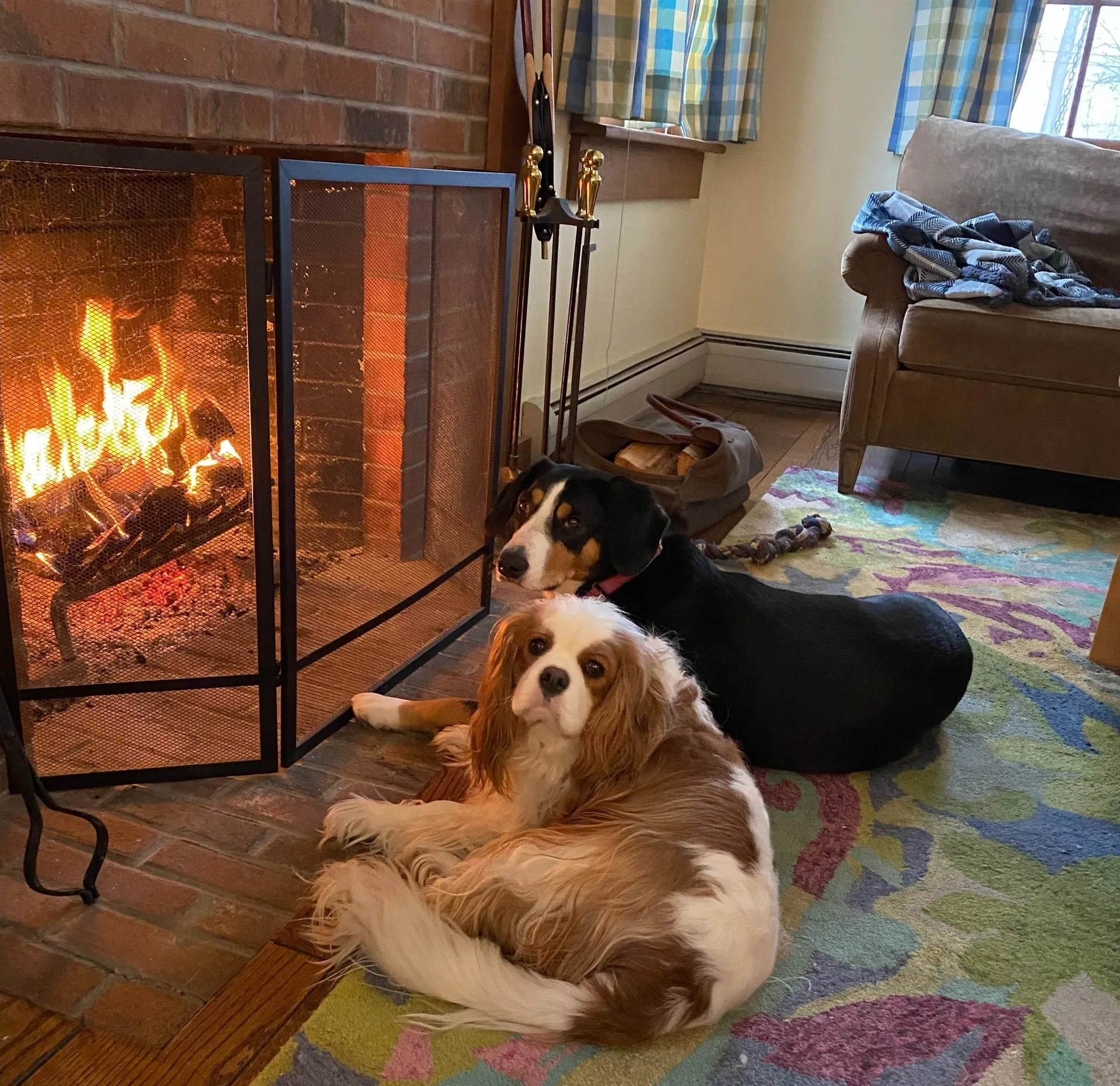 1502 Popple Dungeon Road Chester VT 05143