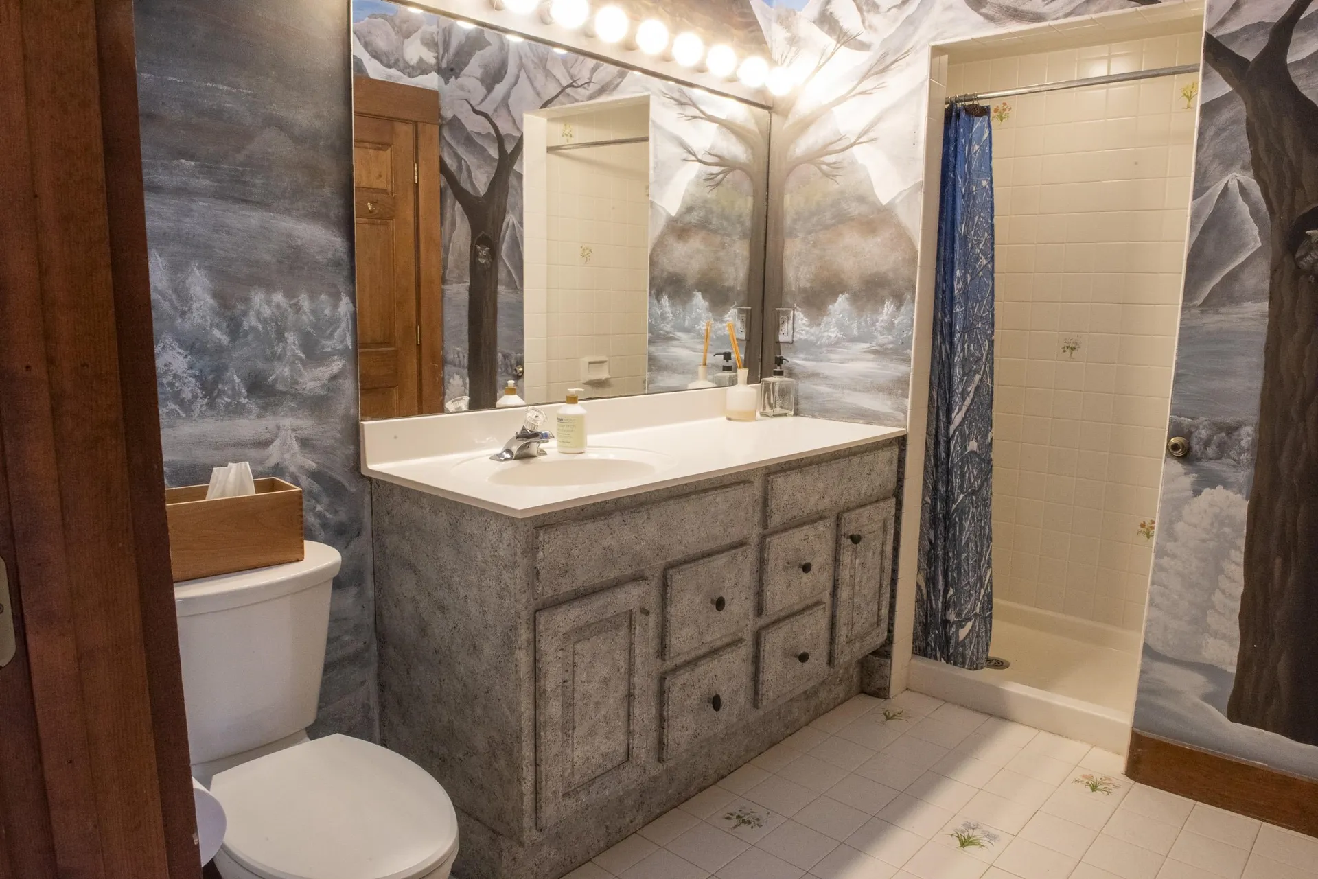 1502 Popple Dungeon Road Chester VT 05143