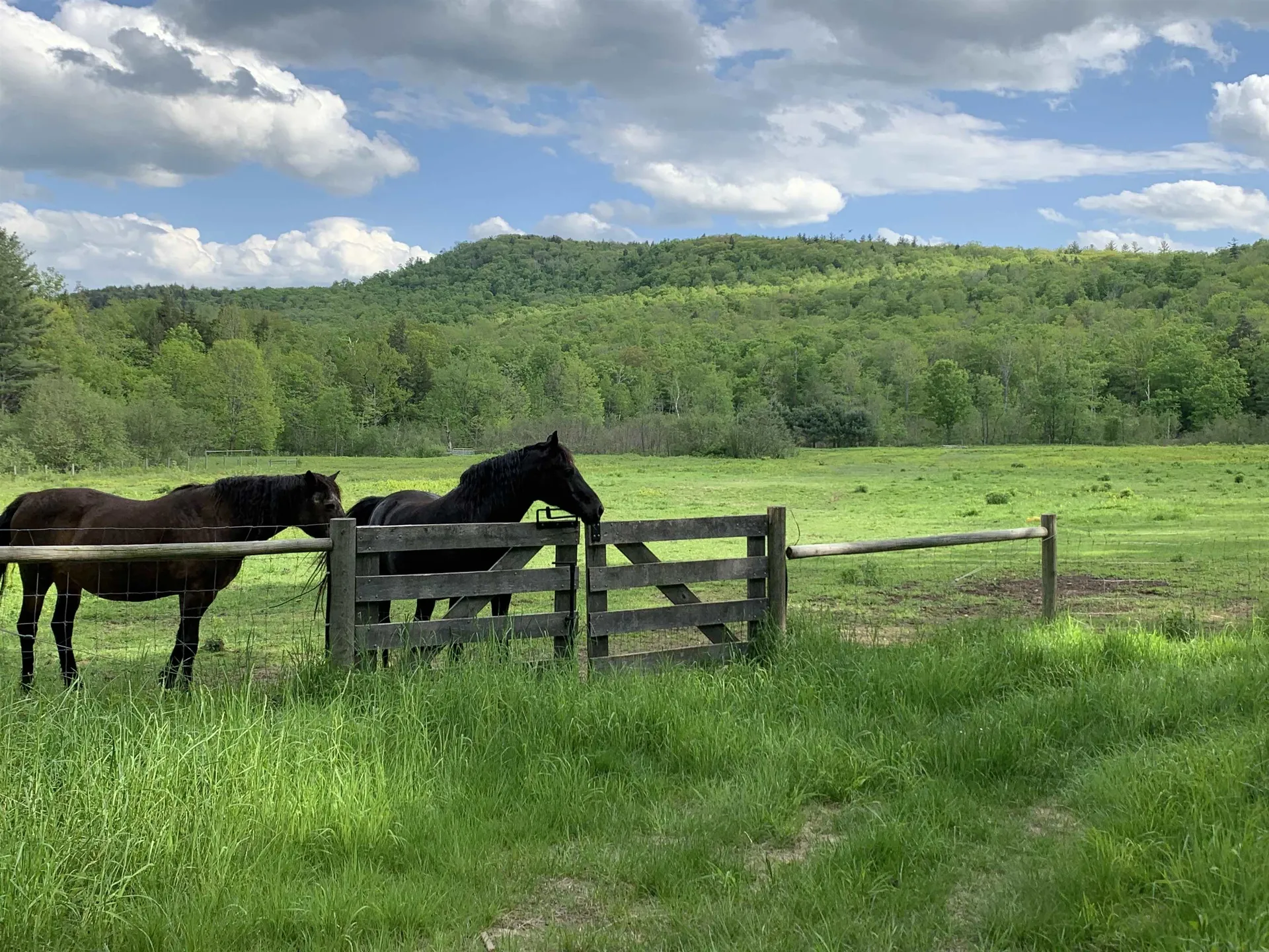 1502 Popple Dungeon Road Chester VT 05143