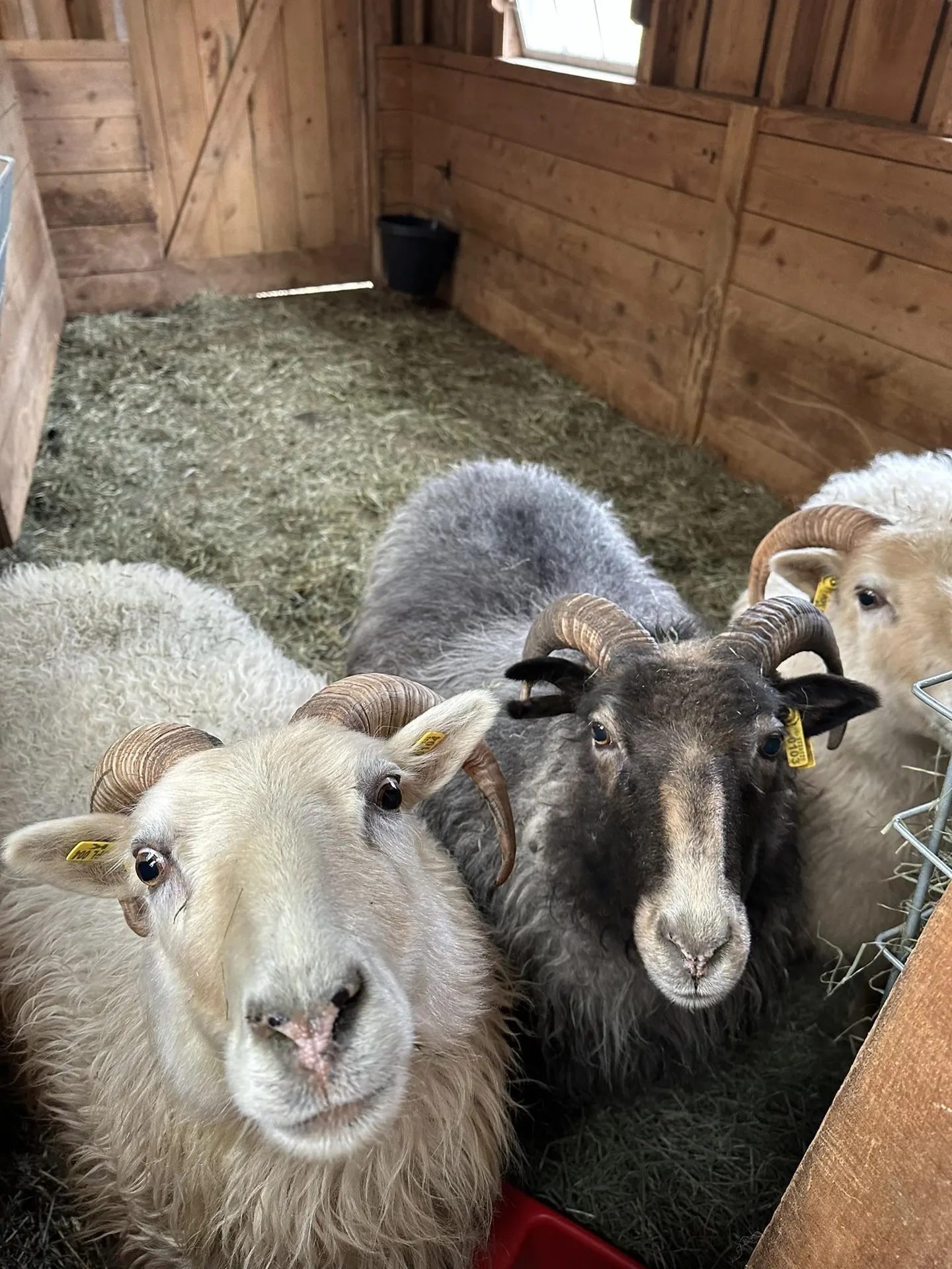 1502 Popple Dungeon Road Chester VT 05143