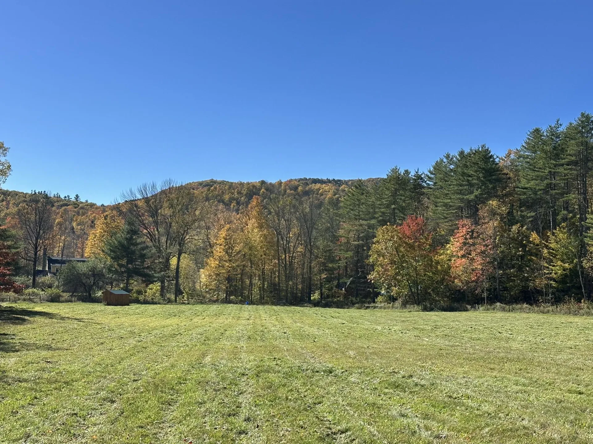 1502 Popple Dungeon Road Chester VT 05143