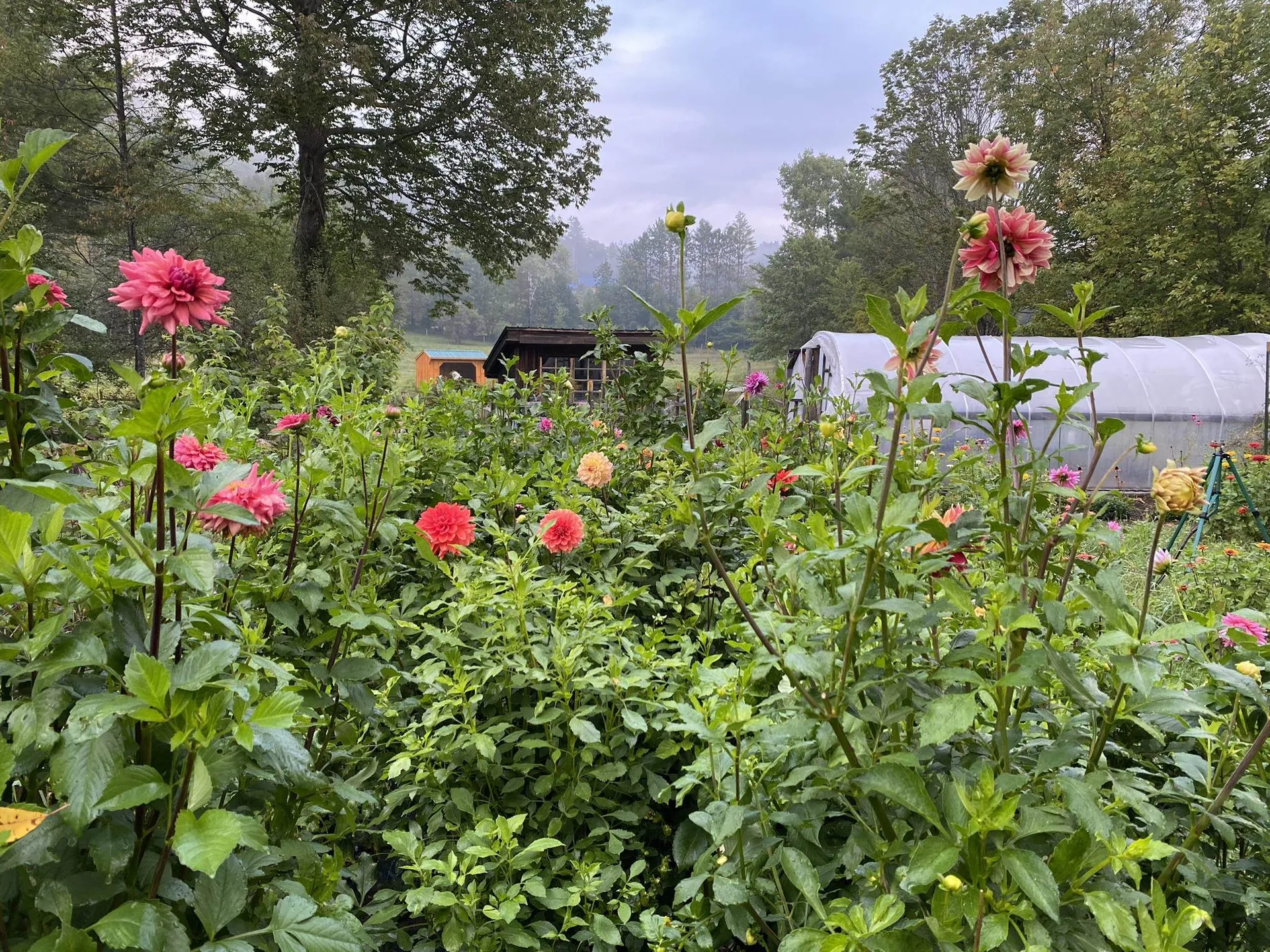 1502 Popple Dungeon Road Chester VT 05143