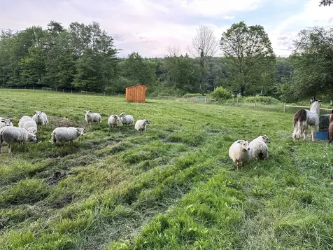 1502 Popple Dungeon Road Chester VT 05143